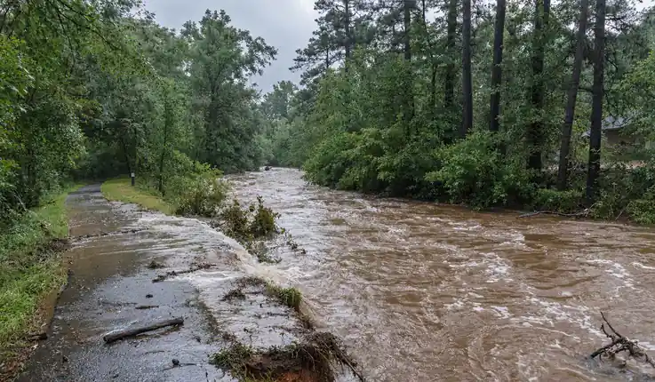 Floodwater receding along a creek greenway trail in Raleigh