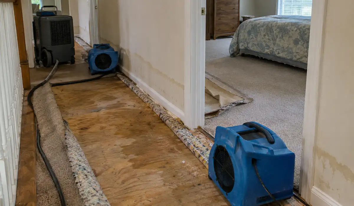 Restoration technician setting up air movers and a dehumidifier in a water-damaged living room